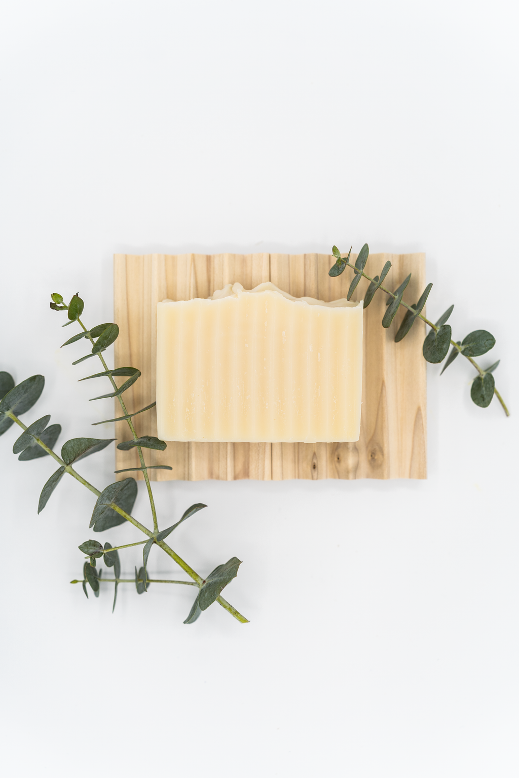12 oz Shampoo & Conditioner & Bar Soap Bundle image 6